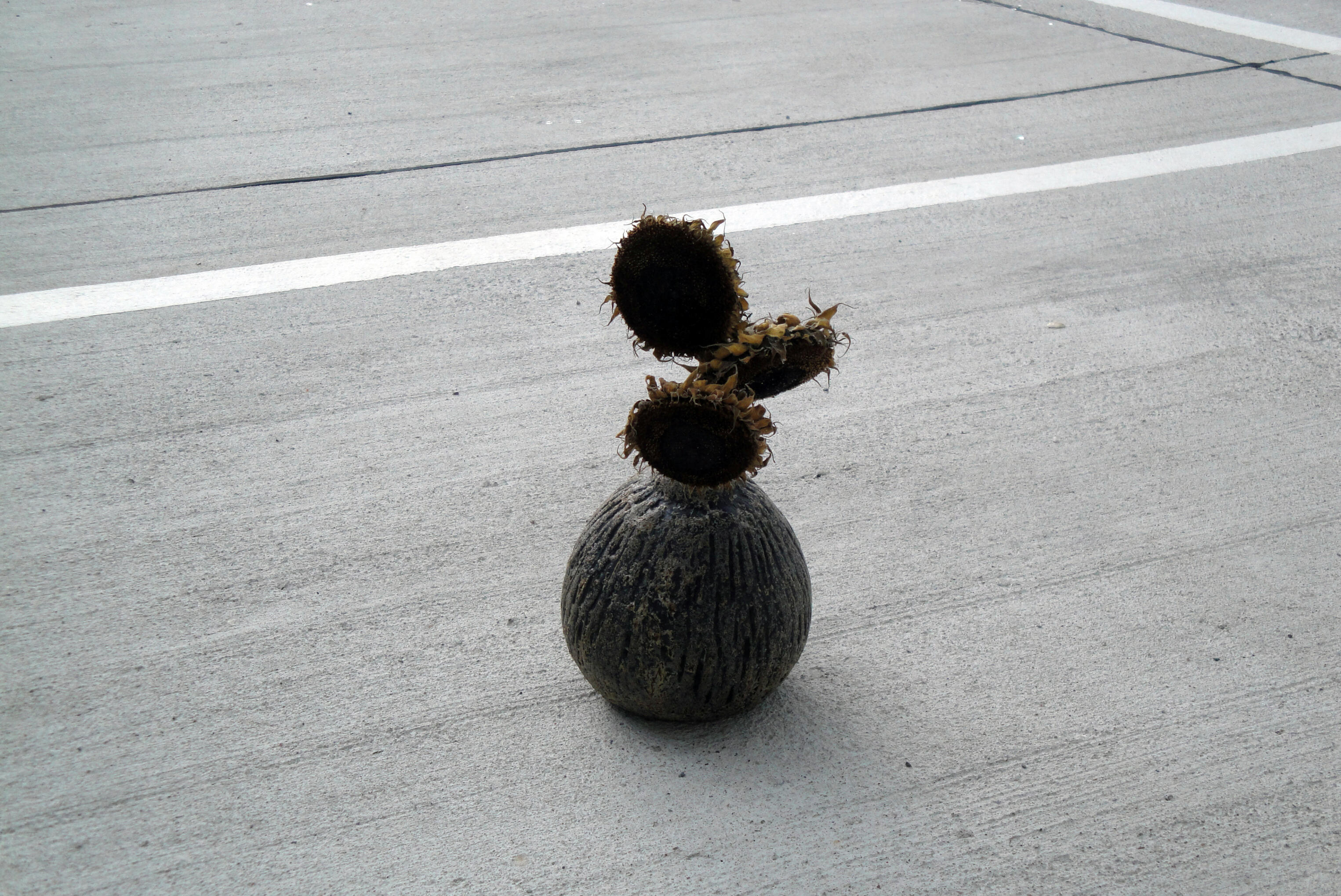 Untitled Untitled